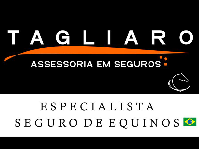 TAGLIARI SEGUROS - VMIX